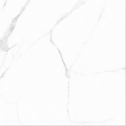 Πορσελανάτα πλακάκια δαπέδου λευκής μάζας Pisa Matt Satin 60 x 60 cm