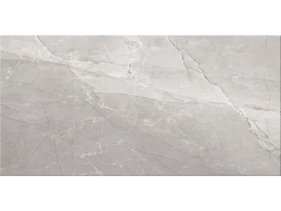 Πορσελανάτα πλακάκια δαπέδου Τεχνογρανίτη Alesia Grey 60 x 120 cm. Κατάλληλα για επίστρωση δαπέδων Εσωτερικών χώρων. Επιφάνεια Γυαλιστερή.