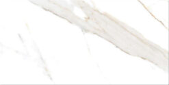 Πορσελανάτα πλακάκια δαπέδου Τεχνογρανίτη Miani Natural 60 x 120 cm