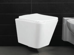 Κρεμαστή λεκάνη WC Τουαλέτας Anabel Rimless 49 cm από Υαλώδη πορσελάνη.
