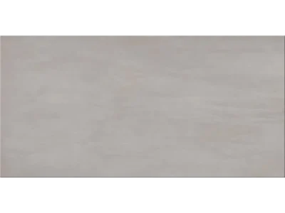 Πορσελανάτα πλακάκια δαπέδου Τεχνογρανίτη Elements Nickel 60 x 120 cm.