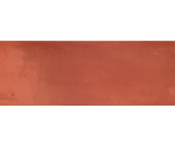 Κεραμικά πλακάκια Τοίχου μπάνιου Κόκκινης μάζας Egyna Rojo 20 x 60 cm. Με επιφάνεια Matt Satin, σε απομίμηση Τσιμεντοκονίας.