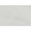 Πορσελανάτα πλακάκια δαπέδου Τεχνογρανίτη Onice Silver 60 x 120 cm.