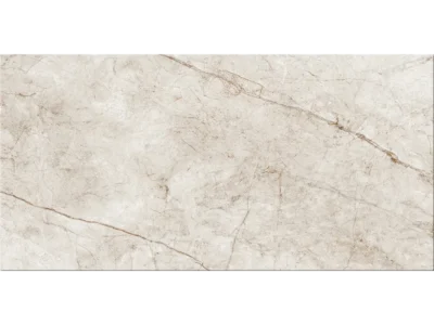 Πορσελανάτα πλακάκια δαπέδου Τεχνογρανίτη Rain Forest Matt 60 x 120 cm.