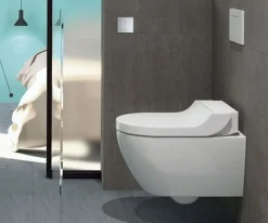 Κρεμαστή λεκάνη WC Τουαλέτας Geberit Aquaclean Tuma Comfort 146294 56 cm με Μπιντέ από Υαλώδη πορσελάνη.