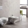 Κρεμαστή λεκάνη WC Τουαλέτας Apollo 50 cm από υαλώδη πορσελάνη.