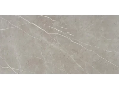 Πορσελανάτα πλακάκια δαπέδου Τεχνογρανίτη Alure Grey 60 x 120 cm με Matt Satin επιφάνεια.