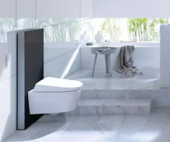 Καζάνι Geberit Monolith 131-031-SJ-5 Glass Black.