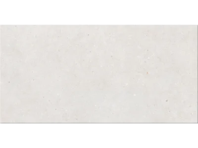 Πορσελανάτα πλακάκια δαπέδου Τεχνογρανίτη Brera Fresh 60 x 120 cm.
