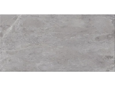 Πορσελανάτα πλακάκια δαπέδου Τεχνογρανίτη Evolution Grey 60 x 120 cm.