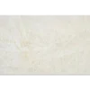 Πορσελανάτα πλακάκια δαπέδου Τεχνογρανίτη Taj Mahal Cream Matt 60x120cm με Matt επιφάνεια